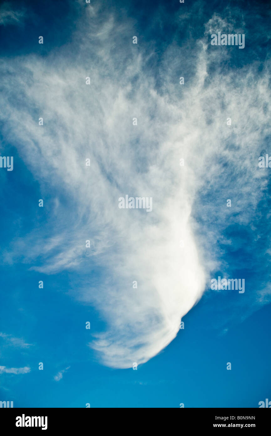 Les nuages vaporeux contre ciel bleu azur au Nouveau Mexique, USA Banque D'Images