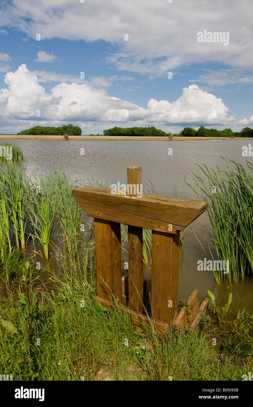 Lac de pêche et vanne, Indre, France. Banque D'Images