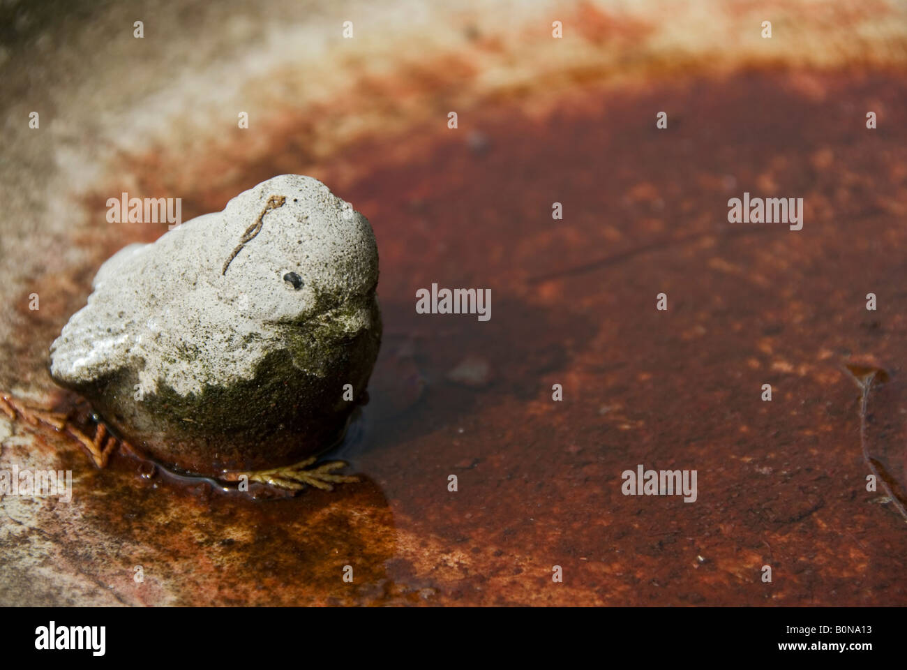 Stock photo d'un bain d'oiseaux Les oiseaux en pierre statue est montrant des signes d'érosion Banque D'Images