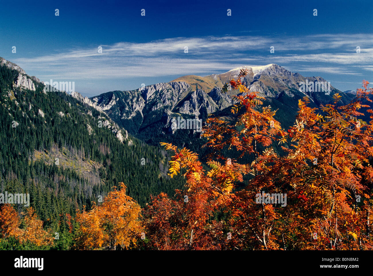 Polish Tatra mountain à l'automne Banque D'Images