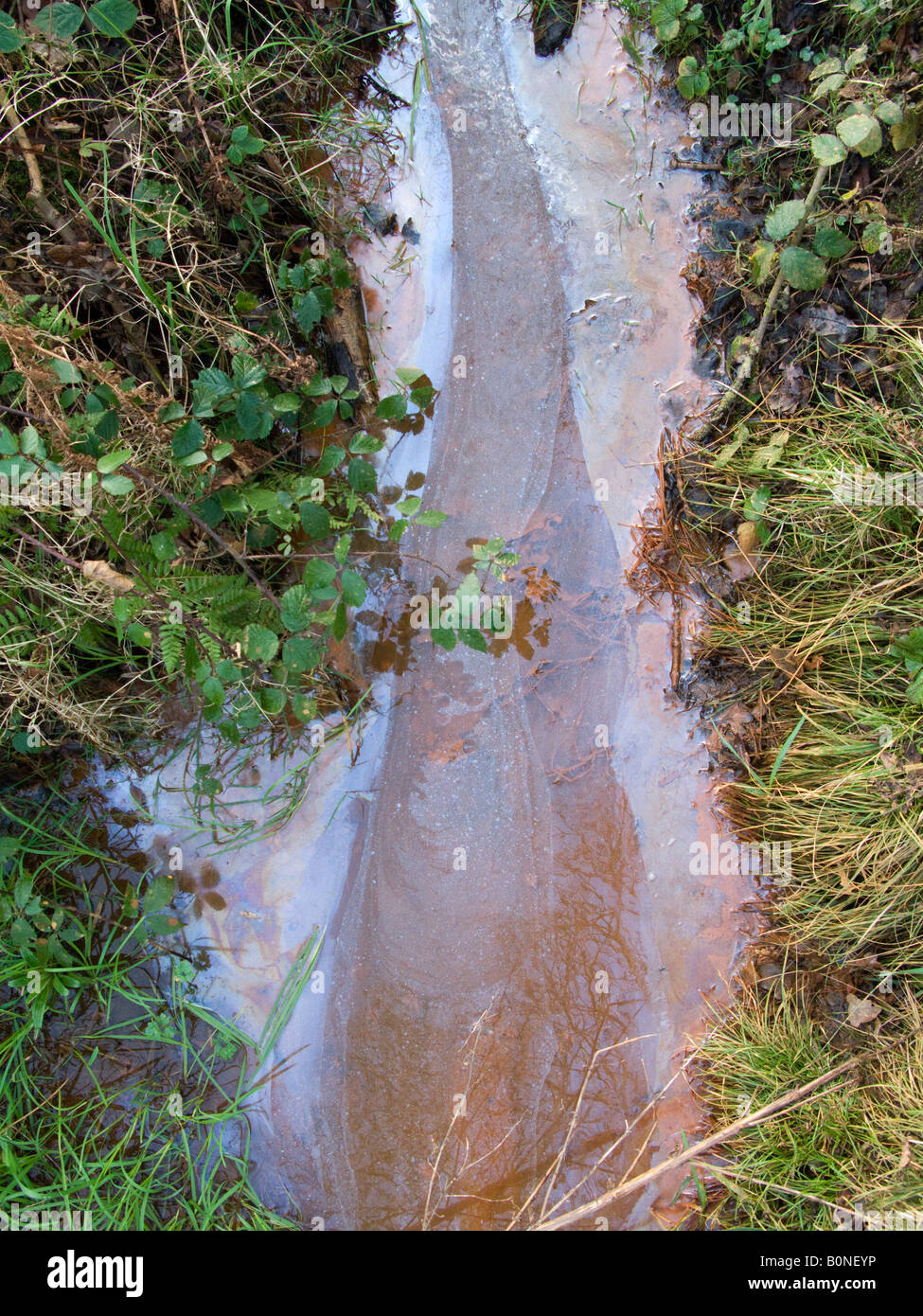 Piscine d'eau / étang / flux lent de flux contaminé pollué par contamination de surface / huile flottante ou graisse. West End Common, près d'Esher, Surrey. ROYAUME-UNI. Banque D'Images
