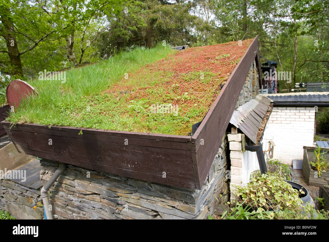 La pelouse en toiture sur maison rurale Centre for Alternative Technology Machynlleth au Pays de Galles UK Banque D'Images