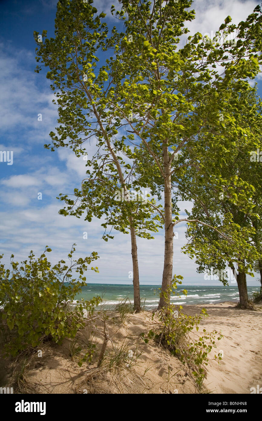 Beverly Shores Indiana Indiana Dunes National Lakeshore, à l'extrémité sud du lac Michigan Banque D'Images