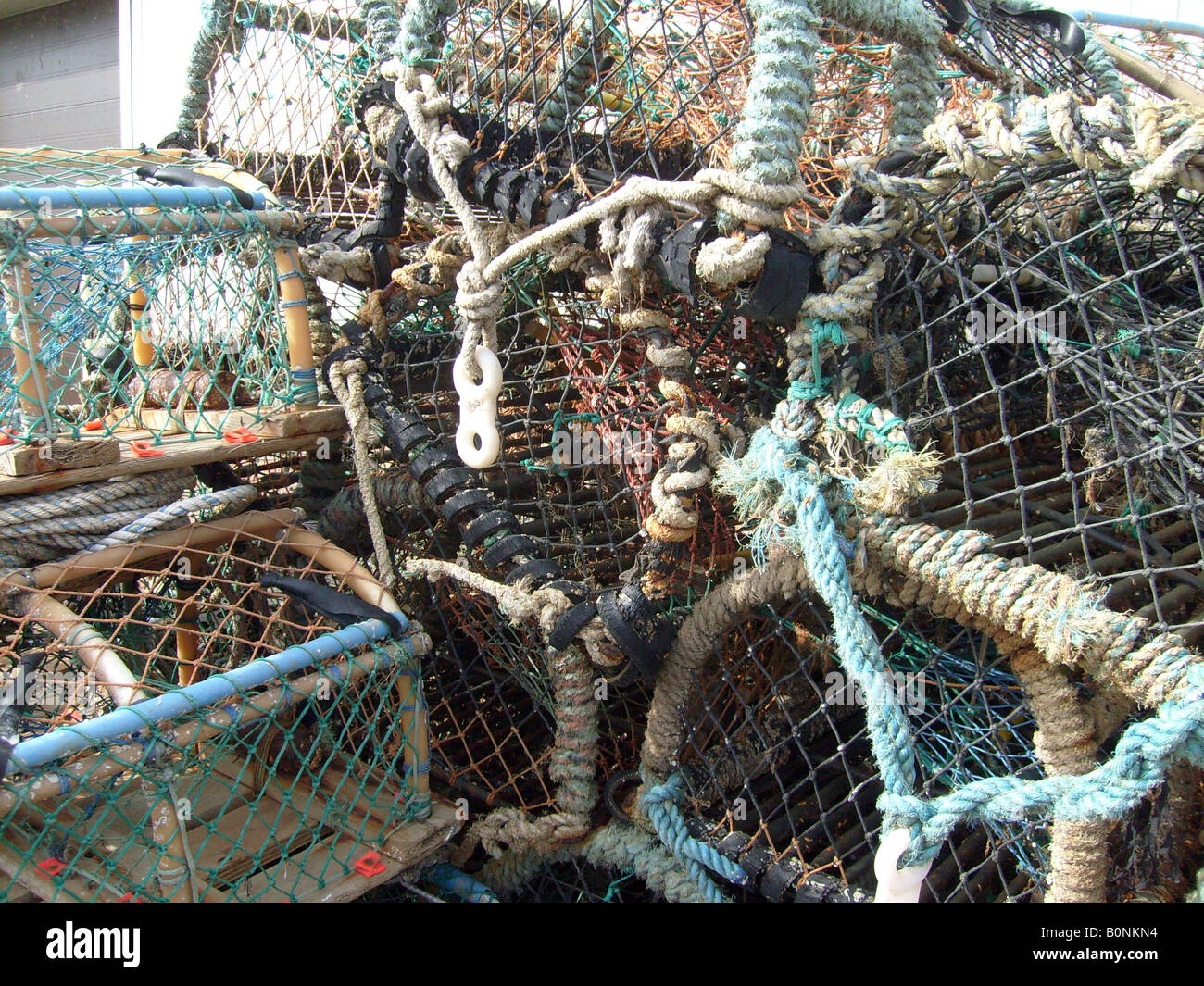 Détails de homard sur le quai, Scarborough, North Yorkshire, Angleterre. Banque D'Images