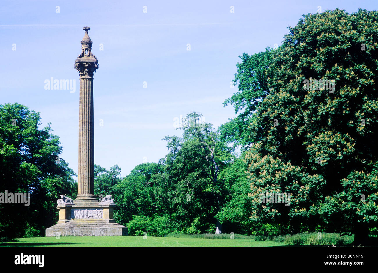 Monument Coke Holkham Norfolk colonne Parc monument East Anglia Angleterre UK Banque D'Images