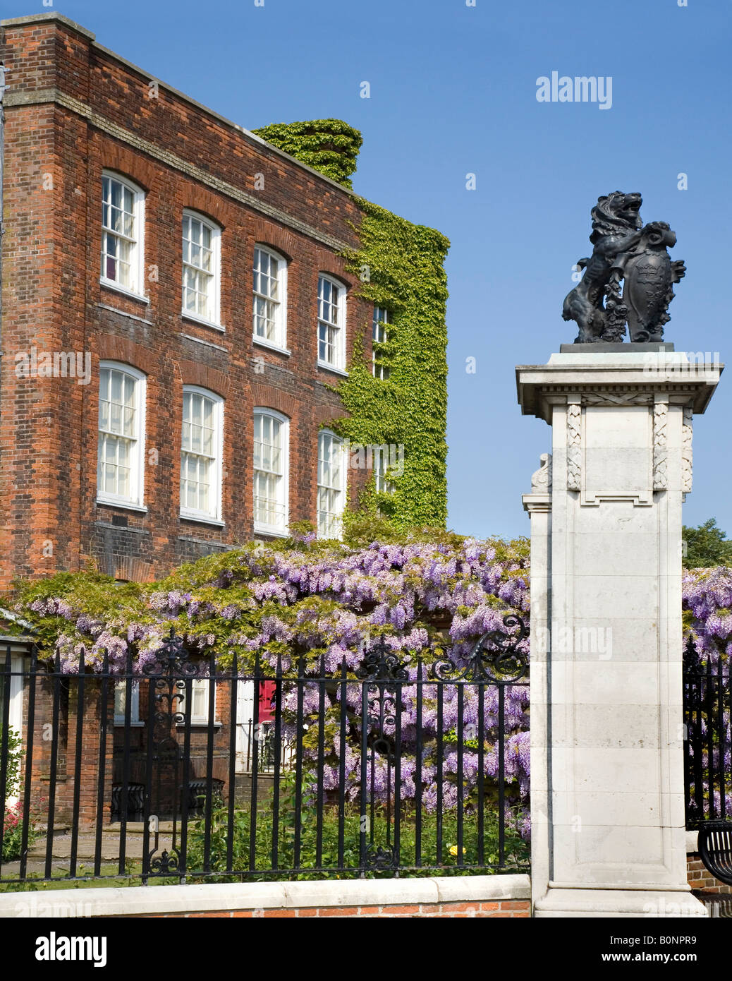 Hollytrees Museum à Colchester, montrant la croissance de glycine à l'avant. Banque D'Images