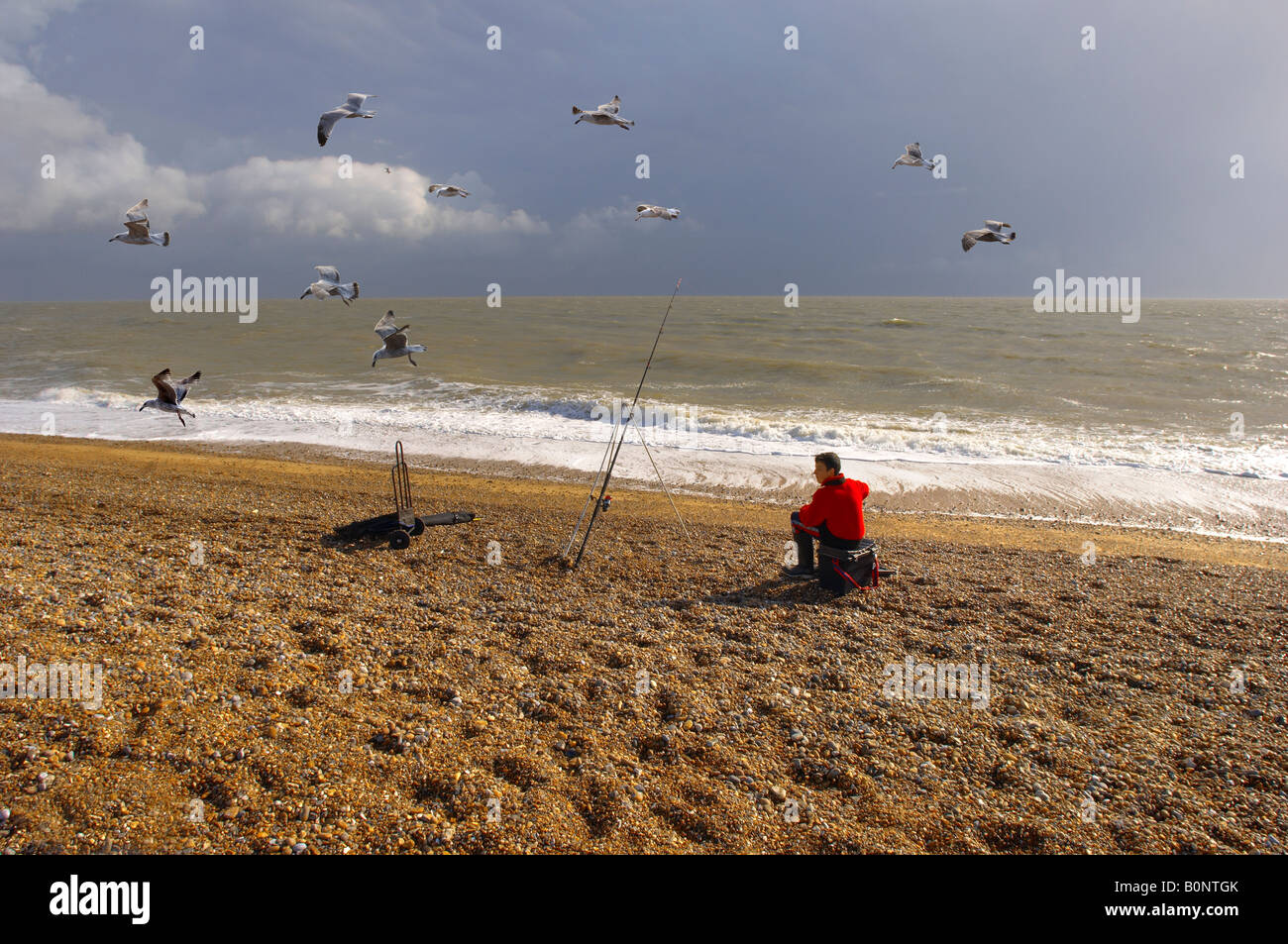 Jeune homme la pêche au large de la plage d'Aldeburgh, Suffolk avec les goélands Banque D'Images