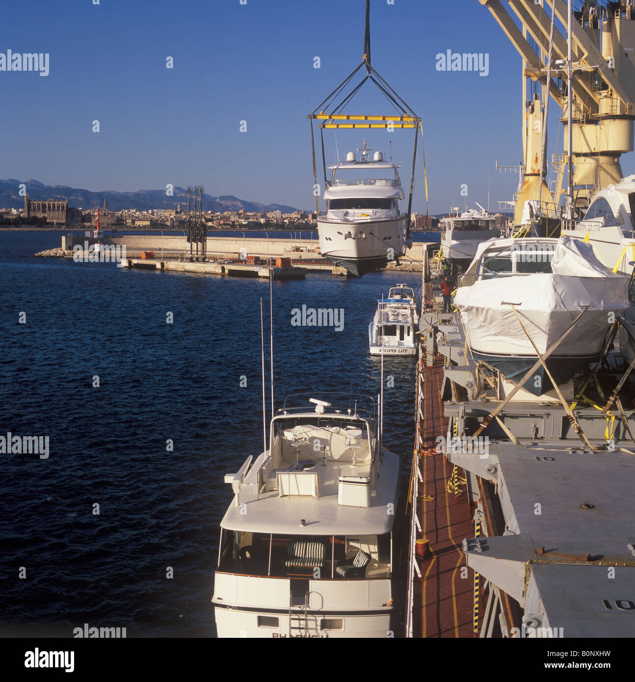 Déchargement de bateaux Location de transporteur Cielo di Vancouver dans le port de Palma de Majorque Banque D'Images