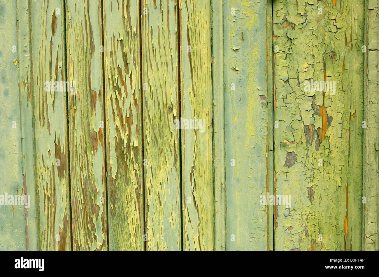Peeling peinture verte sur une vieille porte en bois. Banque D'Images