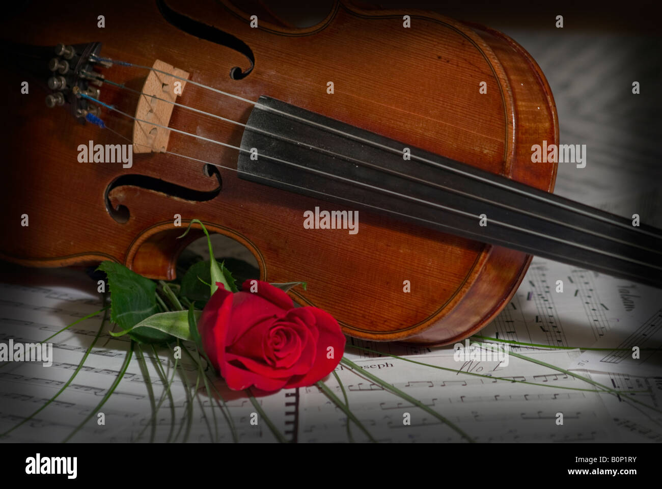 Instrument de la musique de violon avec une rose Banque D'Images
