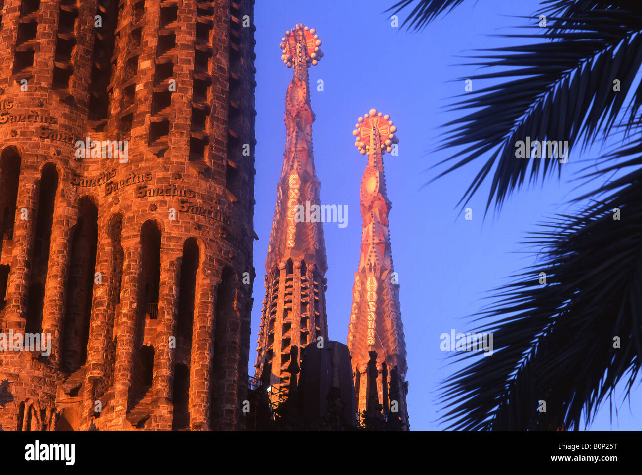 Sagrada Familia à l'aube à travers les palmiers conçu par Antoni Gaudi Barcelone Catalogne Espagne Banque D'Images