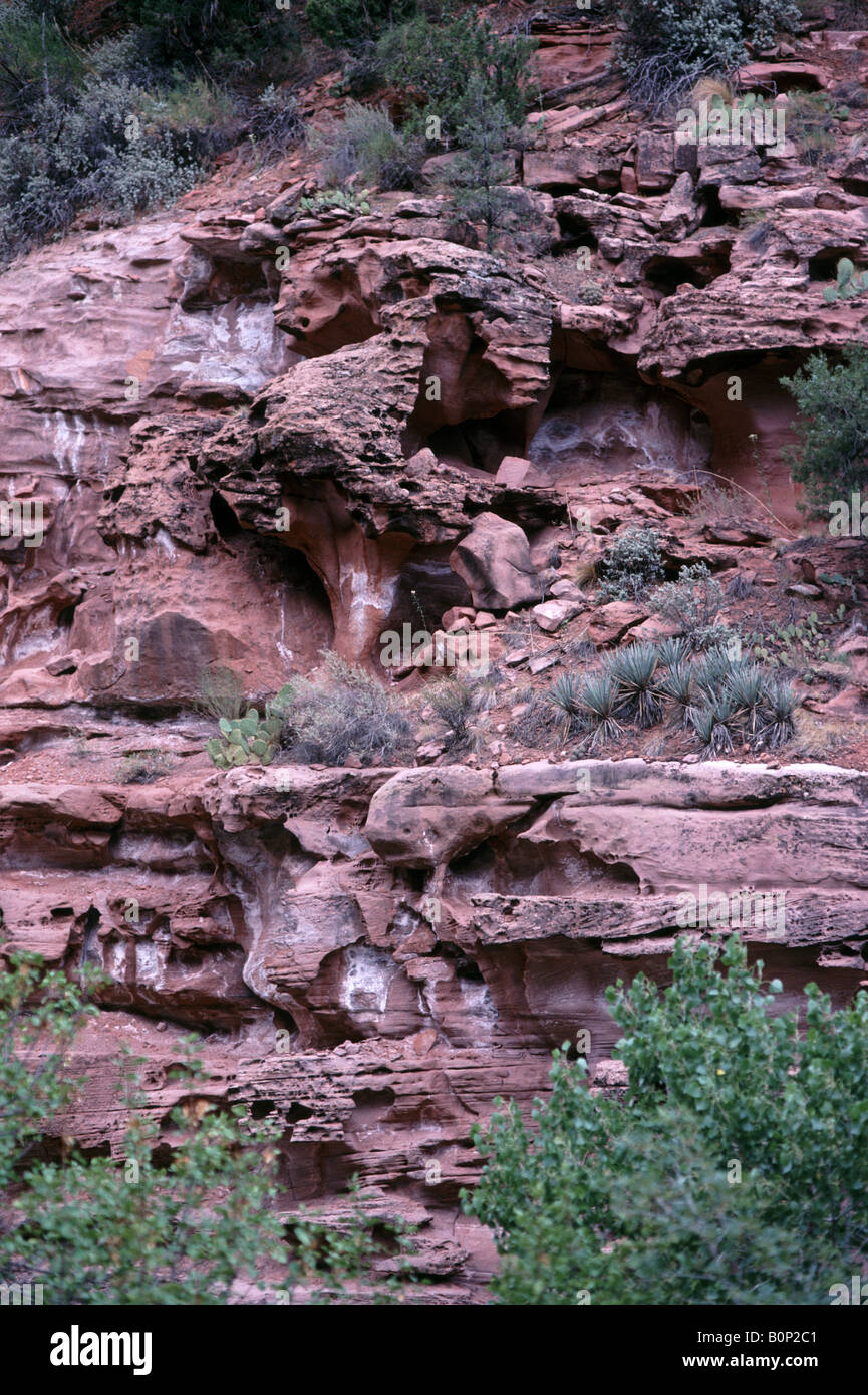 Zion Canyon Zion National Park Utah USA Banque D'Images