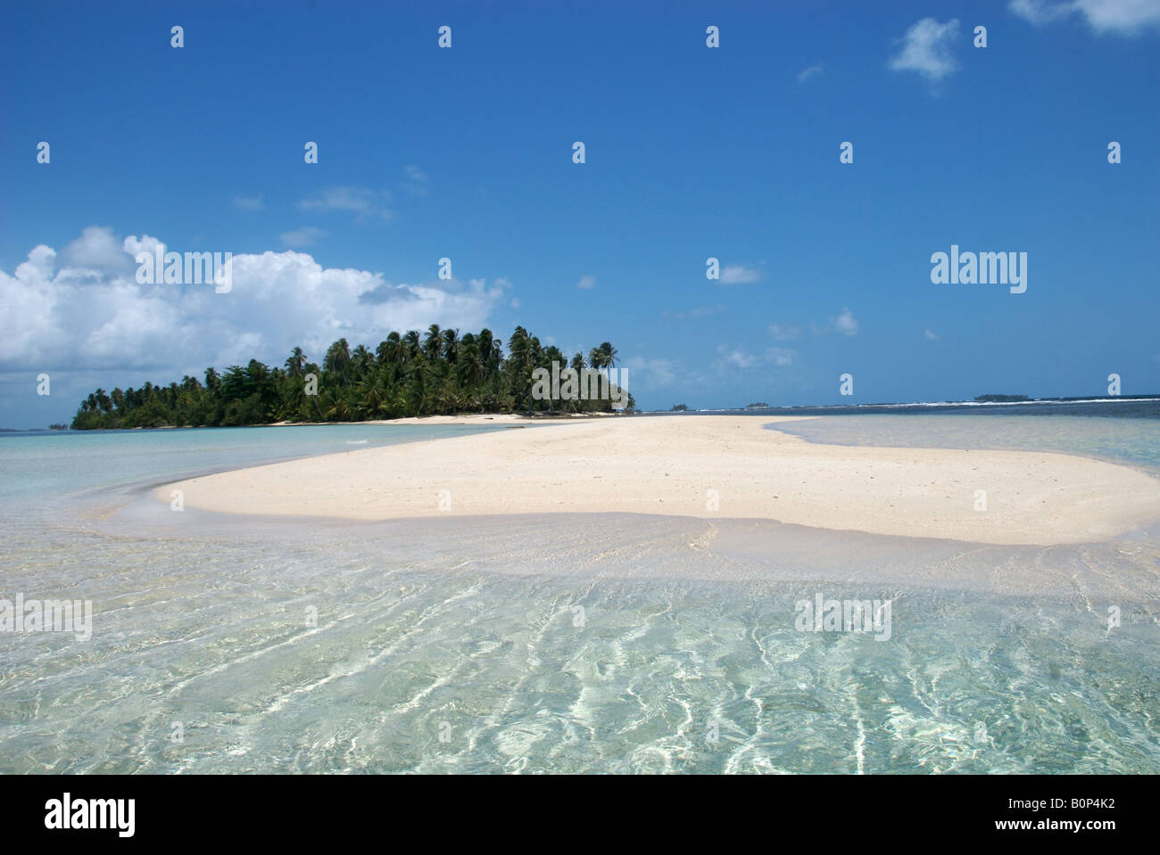 Un sable tropicale déserte et palm tree insland dans les Caraïbes eaux des îles San Blas, Panama. Banque D'Images