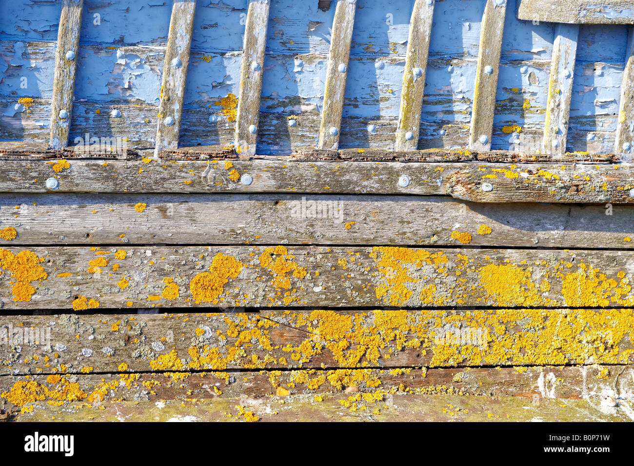 Close up les planches de bois d'un vieux bateau en bois Banque D'Images