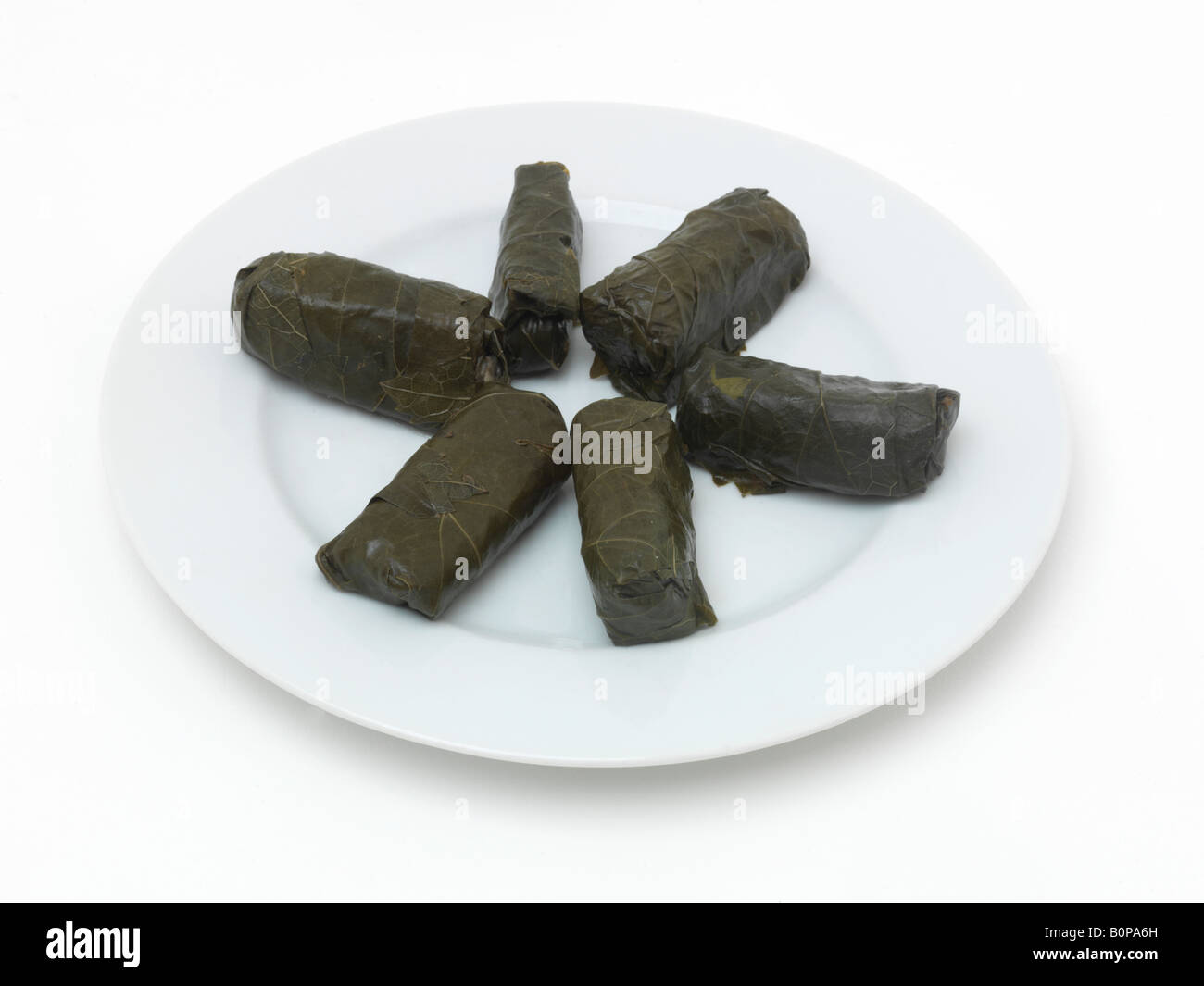 La nourriture grecque Dolmathis et herbes riz enveloppés dans des feuilles de vigne Banque D'Images