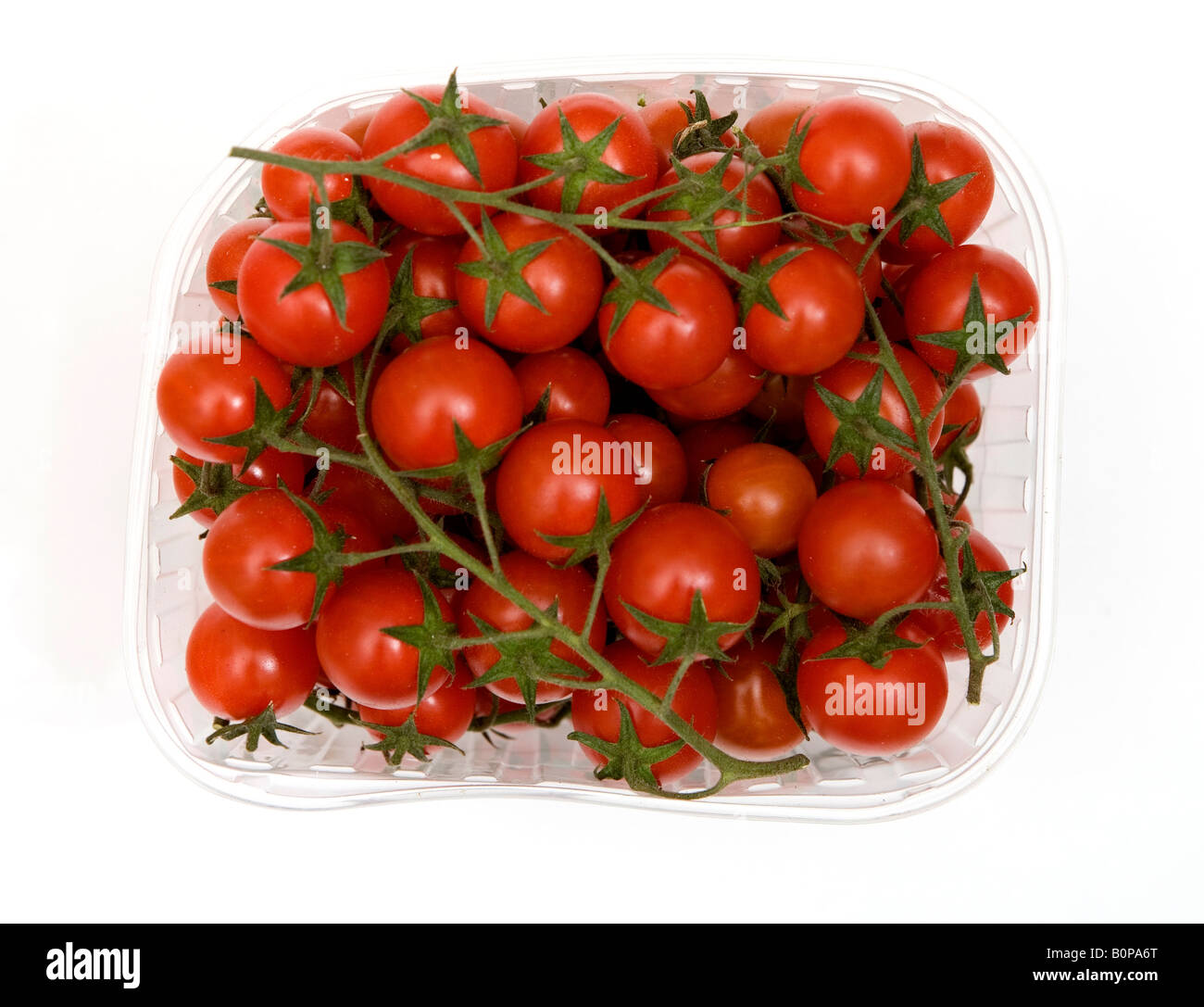 Les tomates Banque D'Images