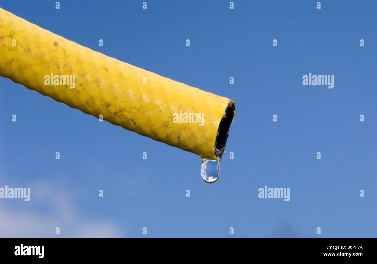 Tuyau flexible avec des gouttes d'eau Banque D'Images