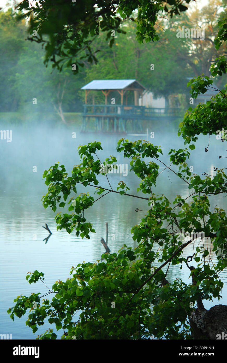 Un bayou lake au lever du soleil près de Breaux Bridge, en Louisiane. Banque D'Images