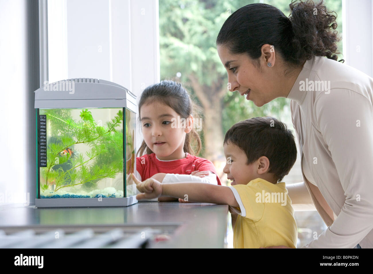 À la famille à l'aquarium Banque D'Images