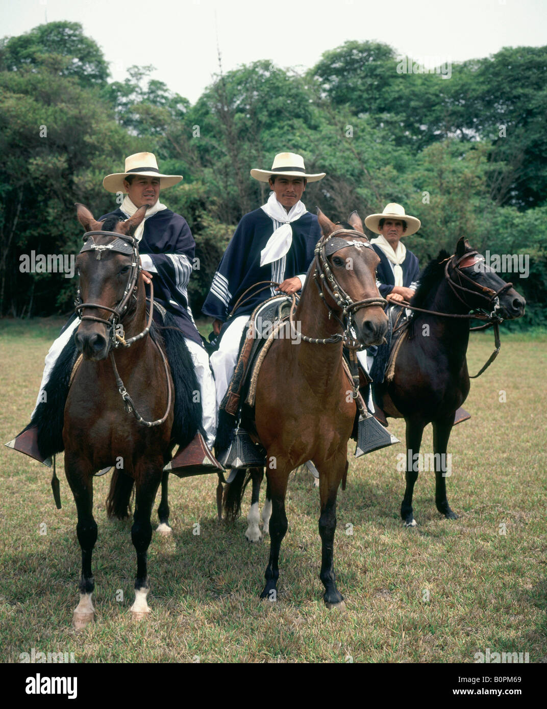 Vertical image trois cavaliers montés sur des chevaux péruviens, défaut de démontrer leur aptitude à montrer sur hacienda près de Lima Pérou Amérique du Sud Banque D'Images