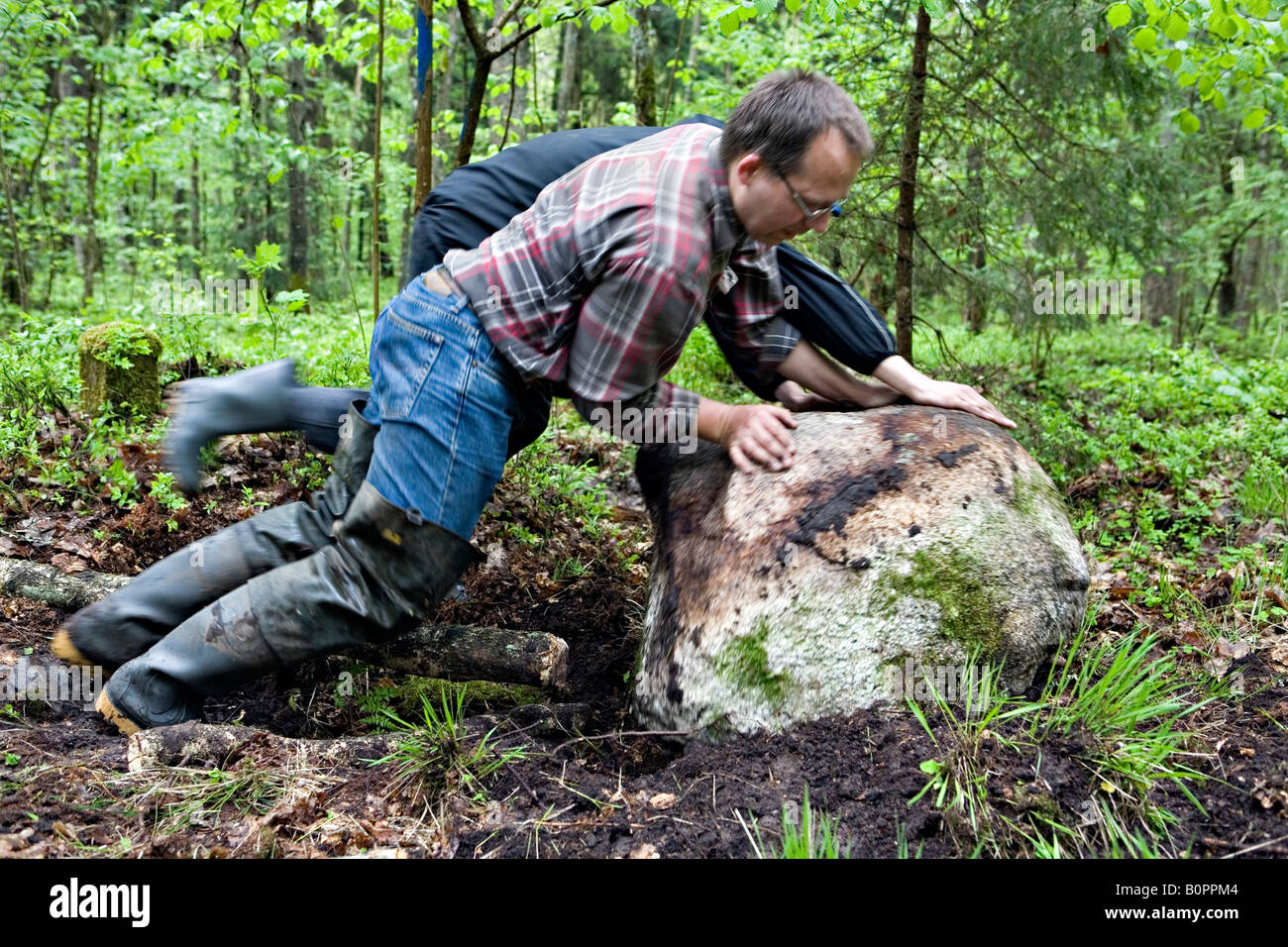 Les gens en rolling rock la forêt de Vidzeme Lettonie Banque D'Images