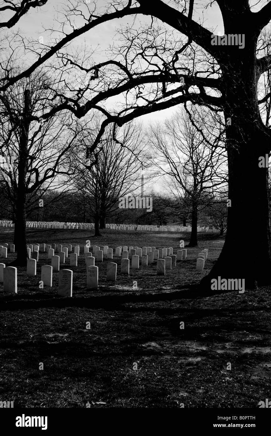 Tombes au cimetière national d'Arlington Banque D'Images