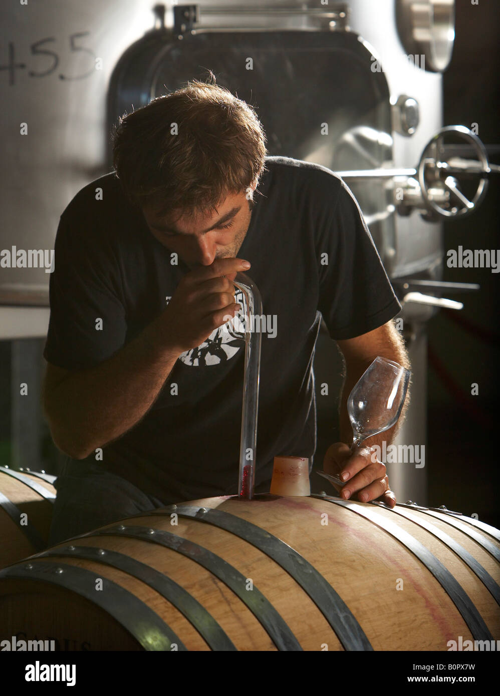 David Ramonteu vigneron hatton estate wine maker contrôle de caisse de vin en utilisant wine thief Banque D'Images