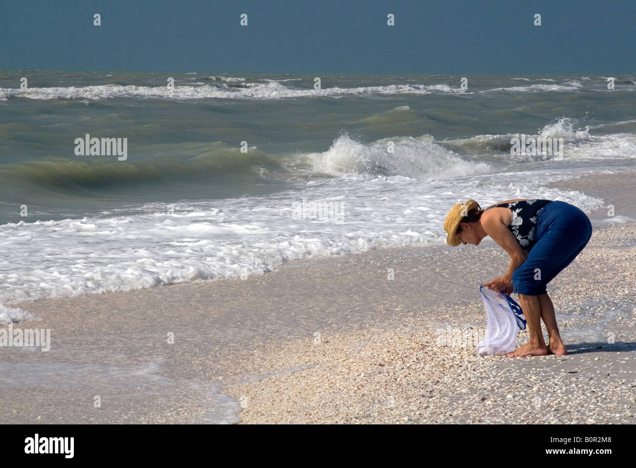Beachcomber à la recherche de coquillages sur la plage à Sanibel Island sur la côte du golfe de Floride Banque D'Images