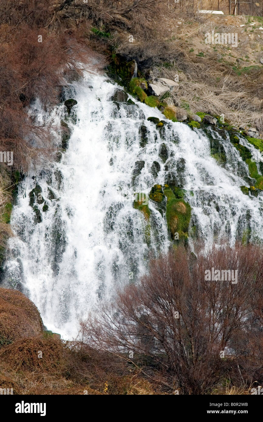 Mille Springs le long de la rivière Snake près de Hagerman Texas Banque D'Images