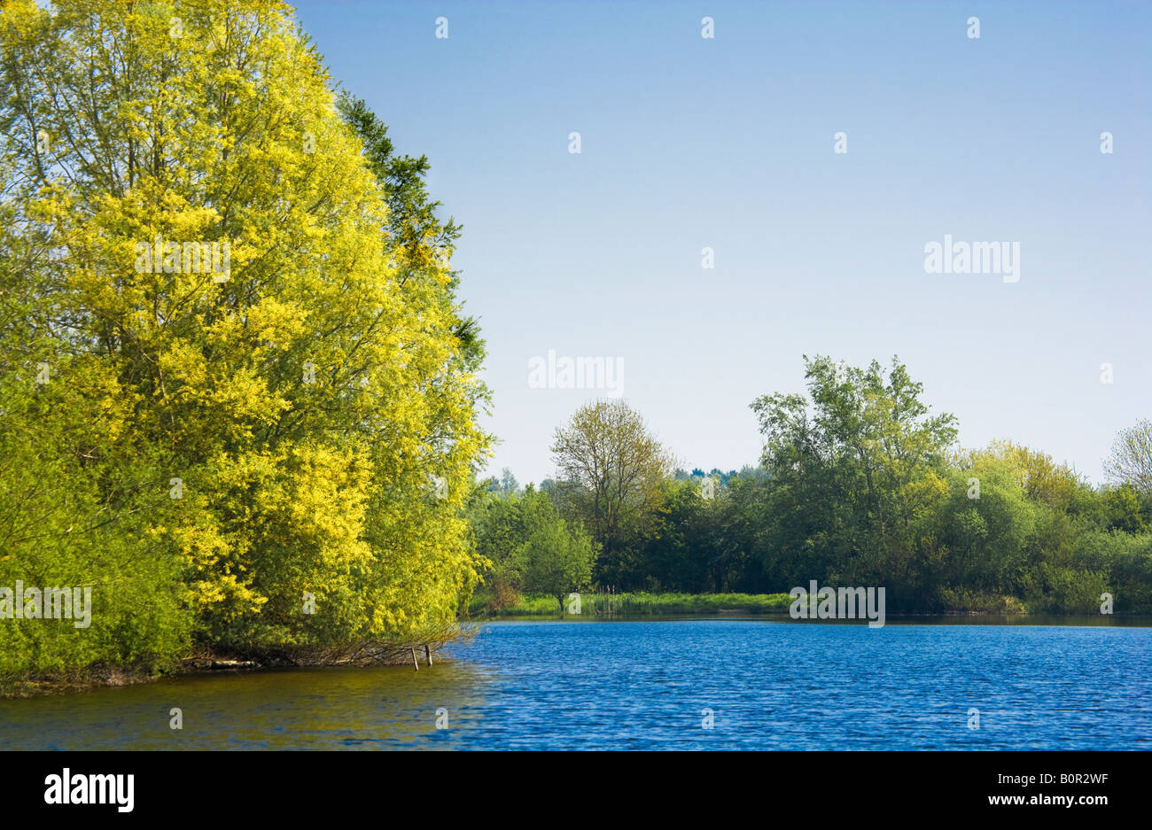 Manor Brook Lake, Cotswold Water Park, Wiltshire, England, UK Banque D'Images