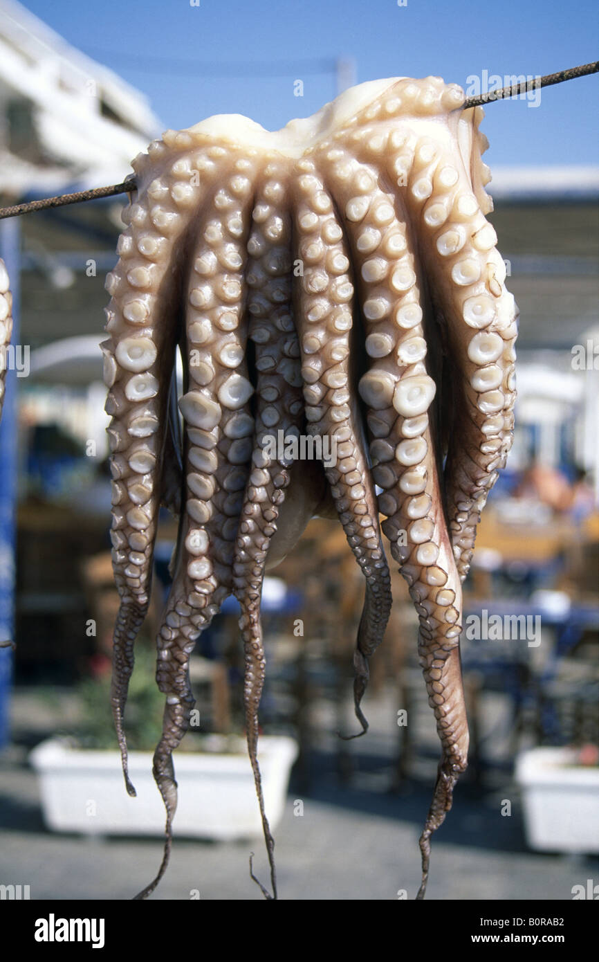Le poulpe, l'île de Naxos, Cyclades, Grèce Banque D'Images