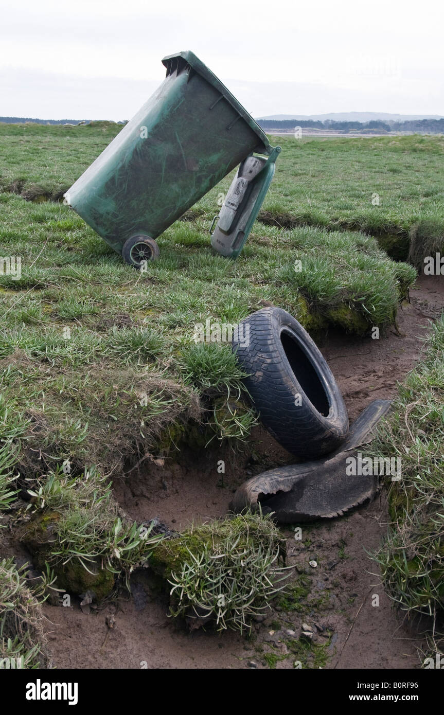 Jetés sur la litière le marais salé à Tyninghame Bay, Ecosse Banque D'Images