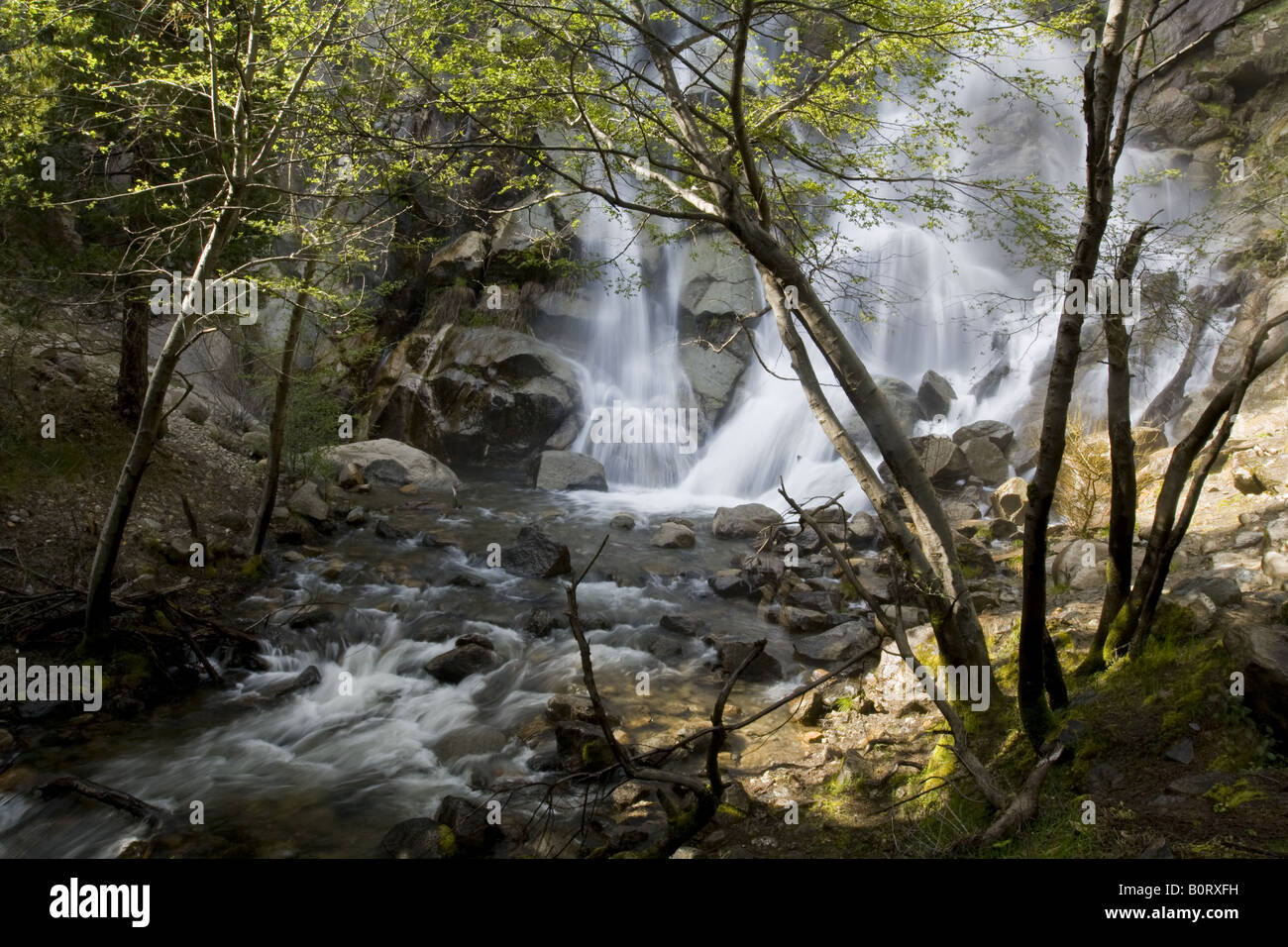 Grizzly Falls, le Parc National Kings Canyon Banque D'Images