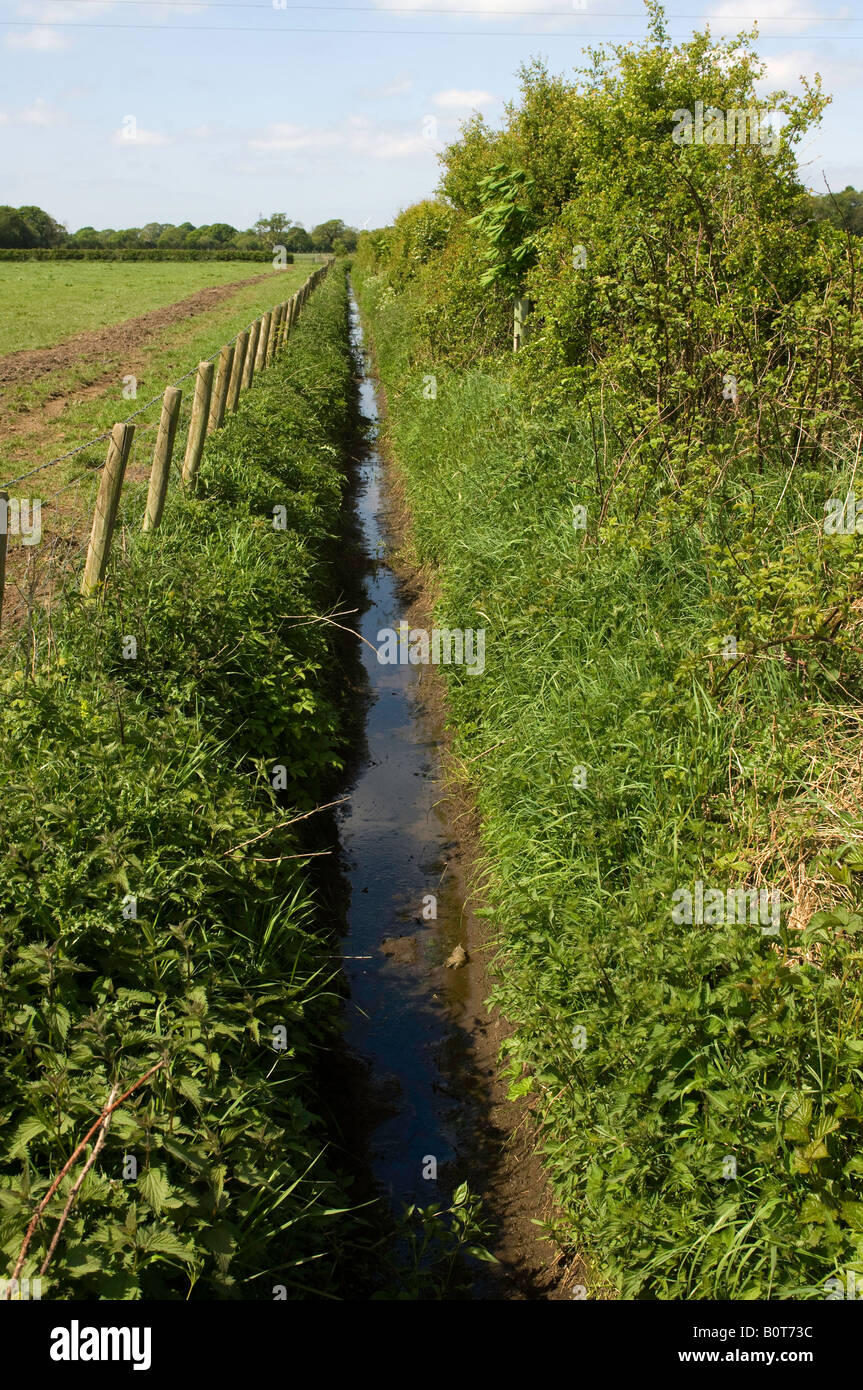 Fossé de drainage entre haie et clôture sur Cumbria England boundry champ Banque D'Images