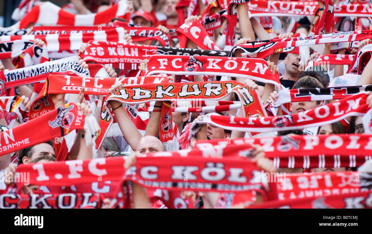 Fans de football le Club allemand du FC Cologne 1 présenter leurs foulards  à l'appui de leur club Photo Stock - Alamy