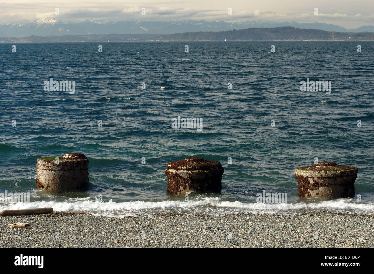 Trois postes qui sort sur la plage au Puget Sound. Banque D'Images