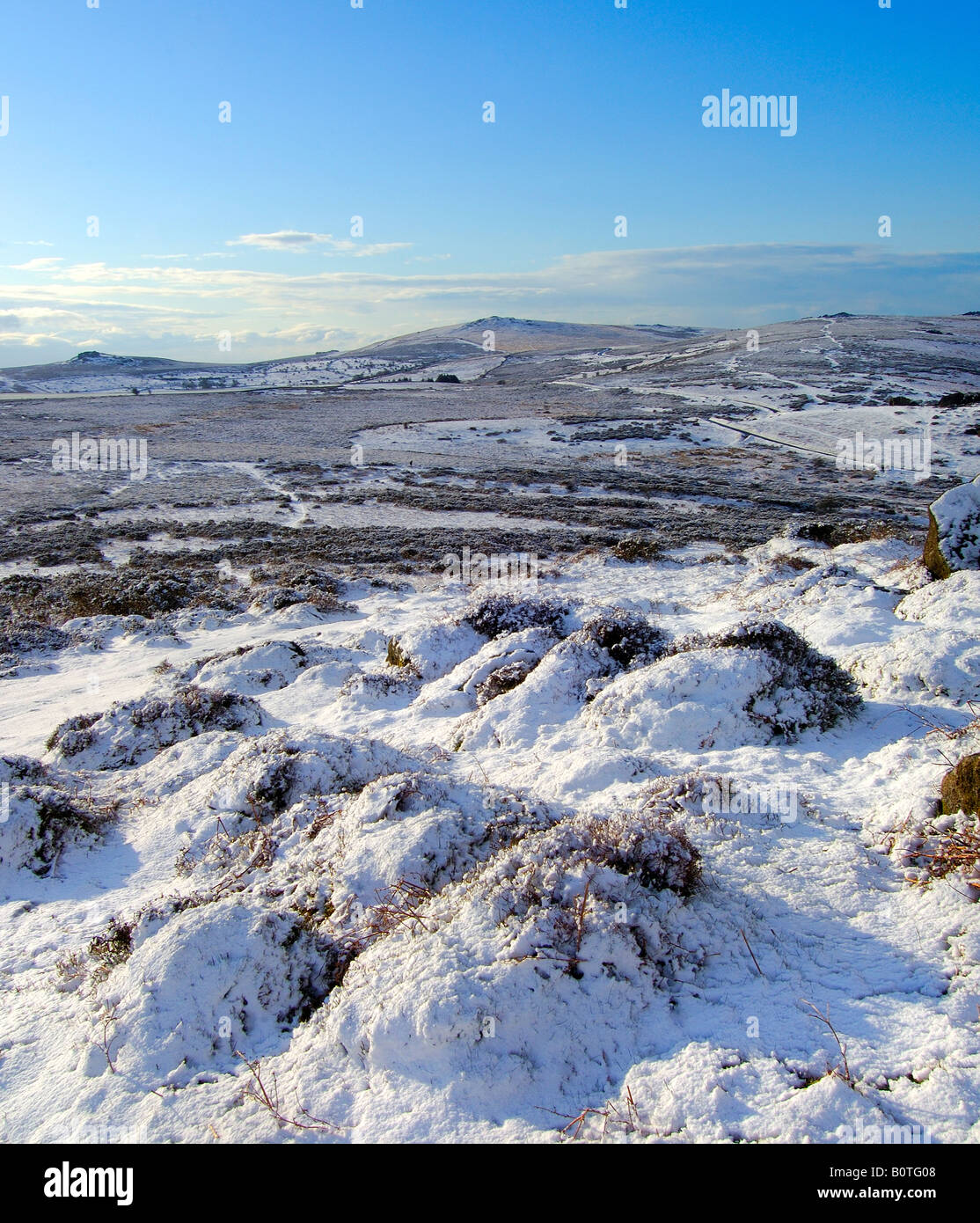 Le poids de la neige près de Chinkwell Tor sur Dartmoor National Park avec un ciel bleu clair Banque D'Images