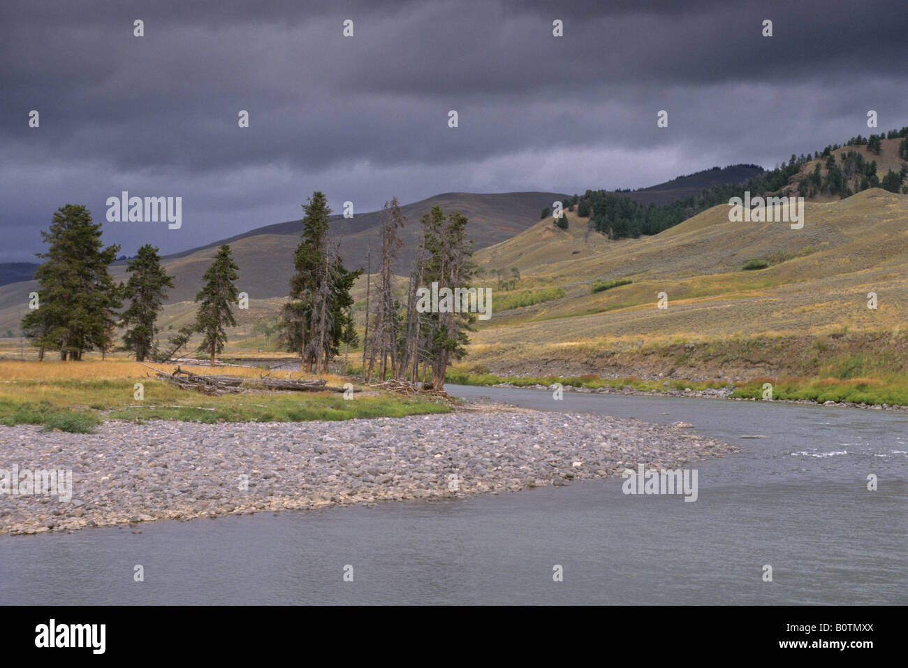 Menaces sur la rivière Lamar Lamar Valley Tower Roosevelt Région Parc National de Yellowstone au Wyoming Banque D'Images