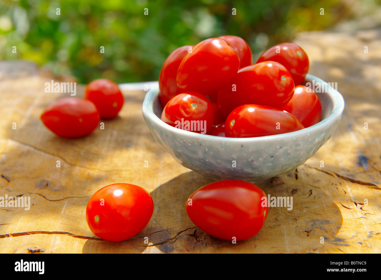 Tomates prune Pomodorino fraîchement cueillies dans un bol sur un table de jardin en bois au soleil Banque D'Images