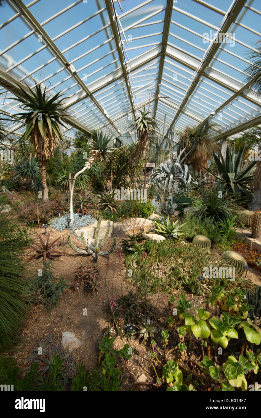 Princess of Wales conservatory Kew Gardens Banque D'Images