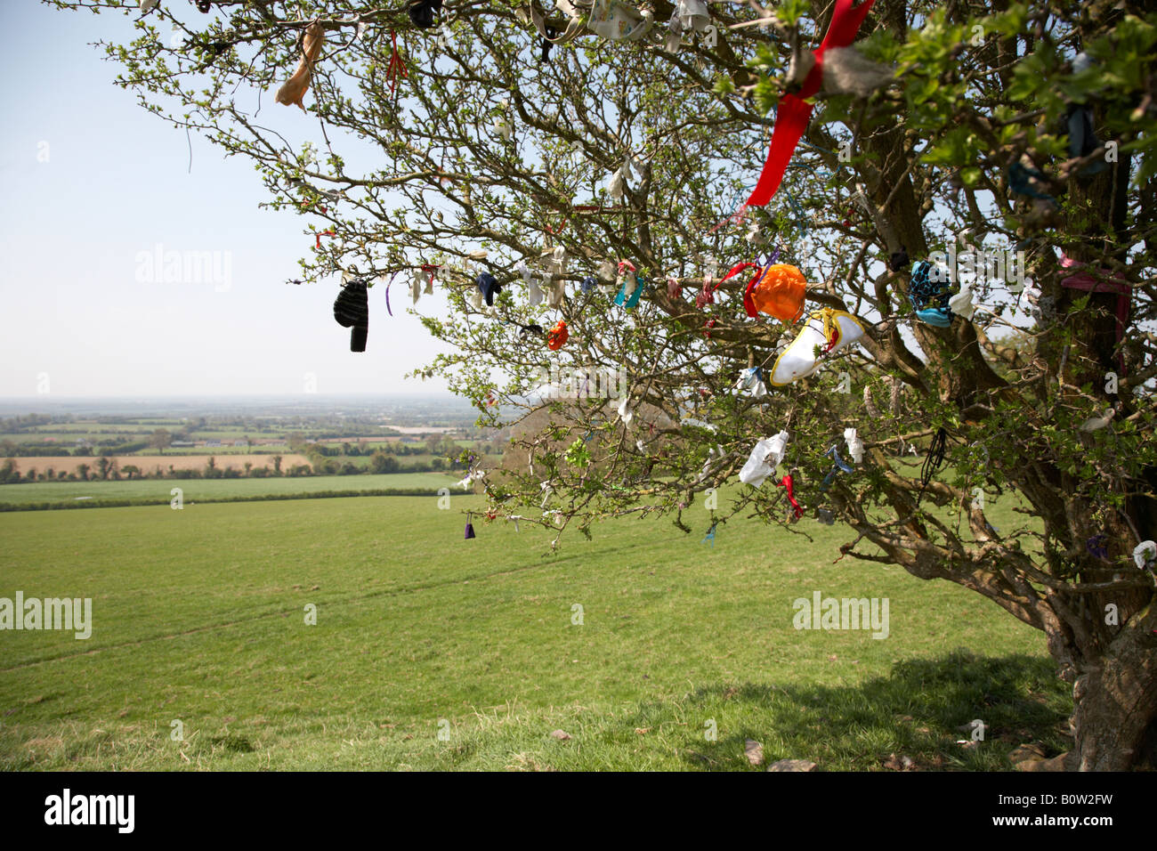 L'épargne attaché à un arbre épineux féerique sur la colline de Tara dans le comté de Meath en république d'Irlande Banque D'Images