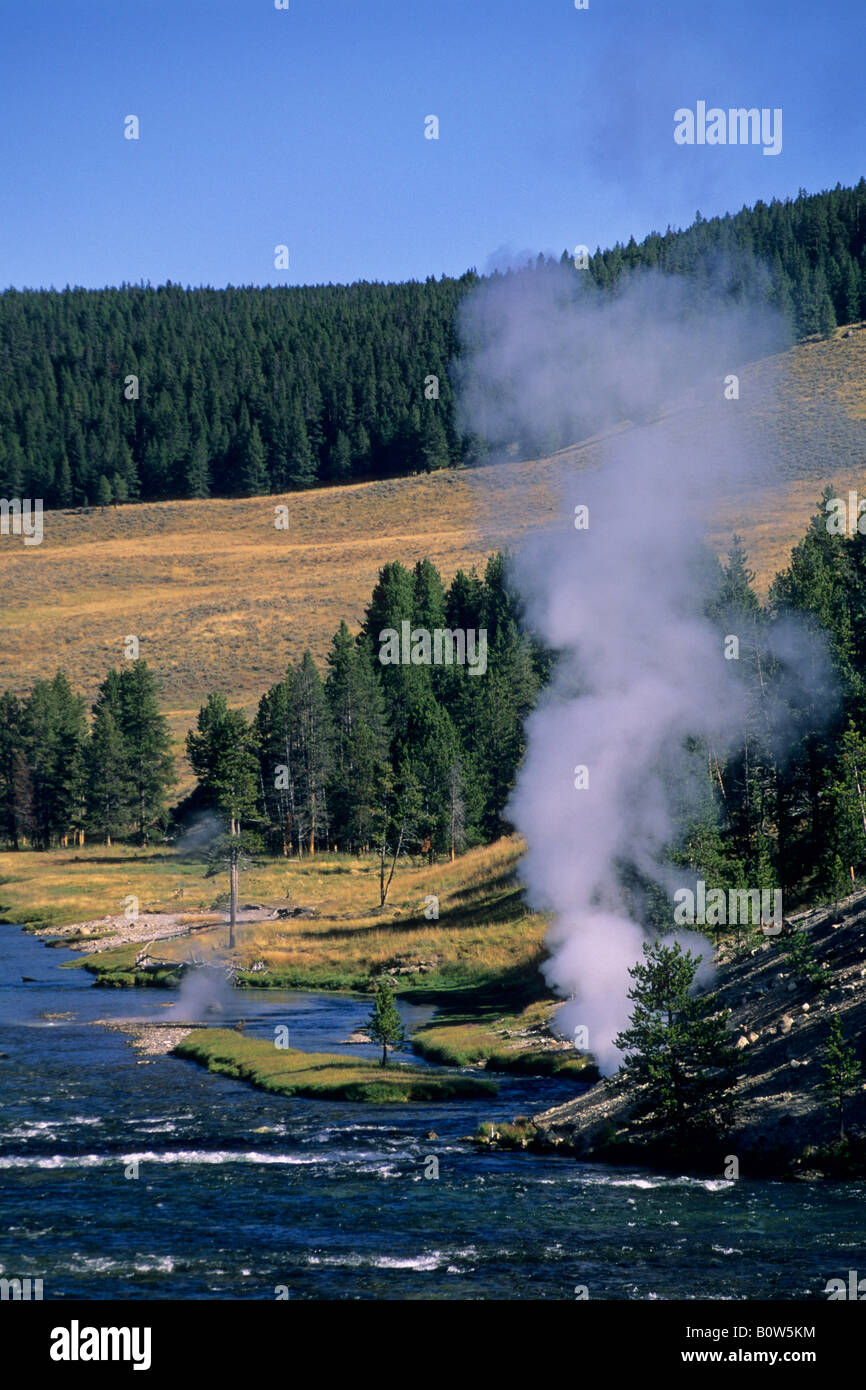 L'évacuation de la vapeur d'gesyer sur banque du Yellowstone River Région du volcan de boue le Parc National de Yellowstone au Wyoming Banque D'Images