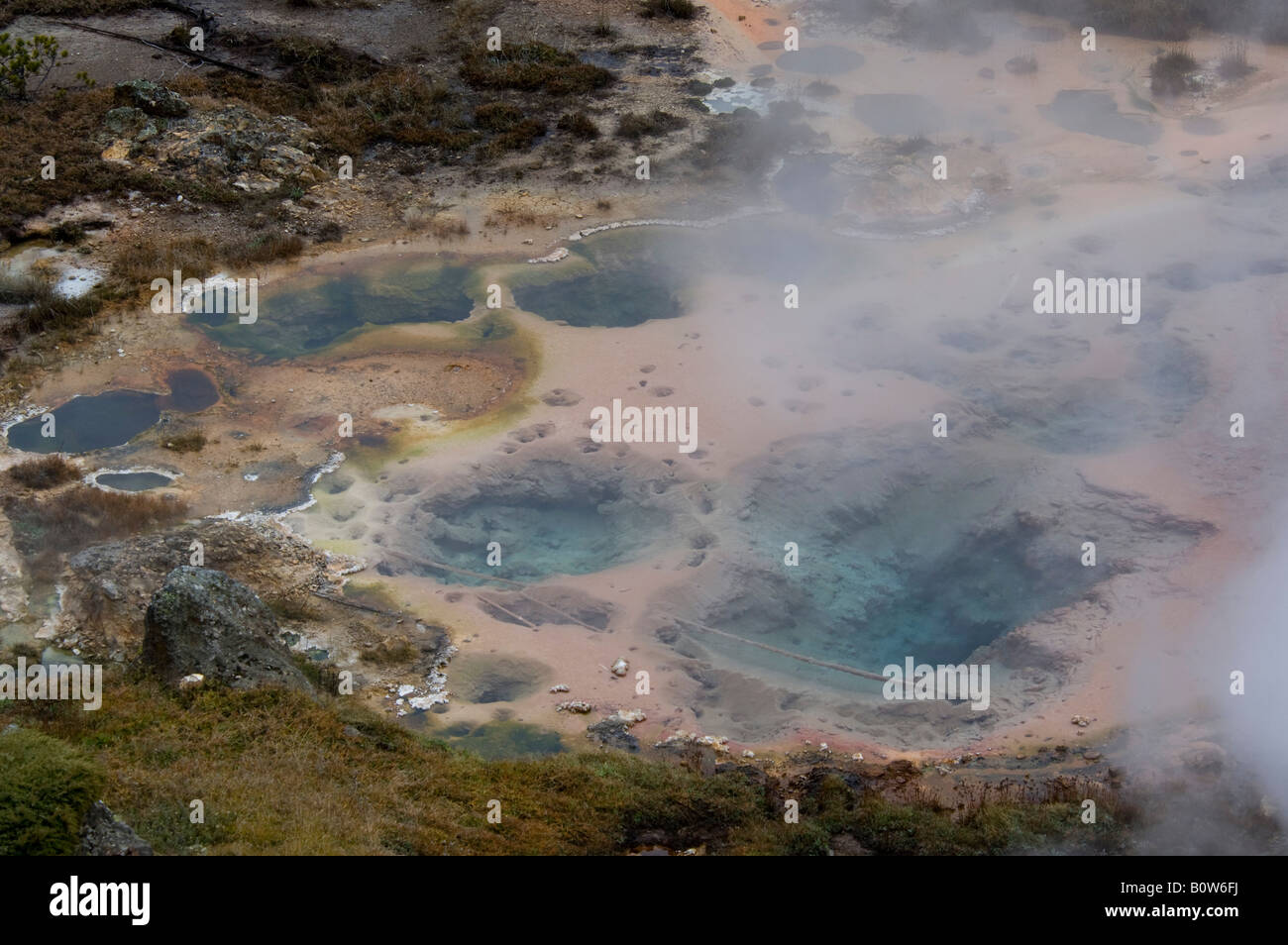 L'augmentation de vapeur à partir de cheminées géothermiques et les sources chaudes aux artistes Paintpots près de Norris le Parc National de Yellowstone au Wyoming Banque D'Images