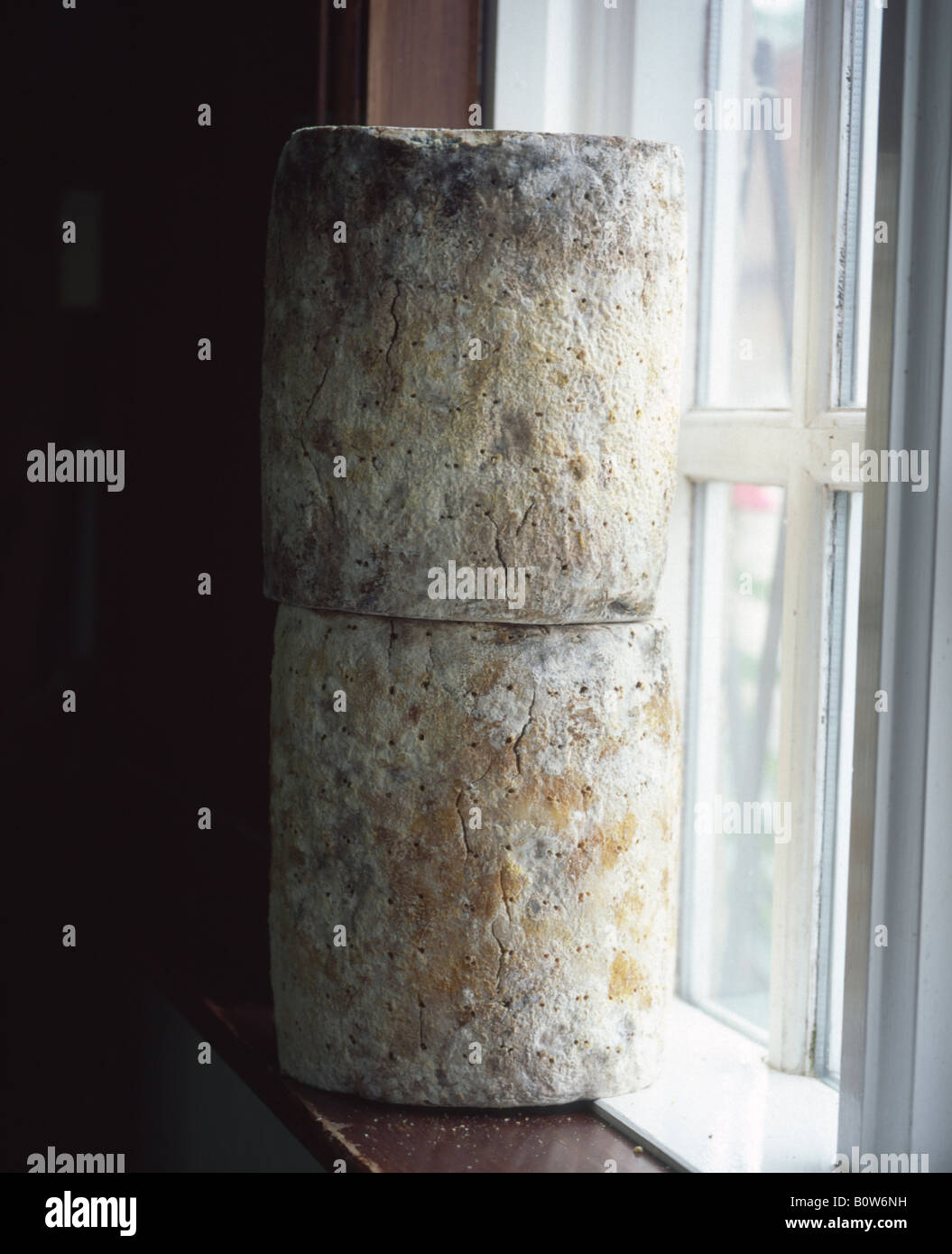 L'affinage des fromages de grande truckles sur l'étagère Banque D'Images