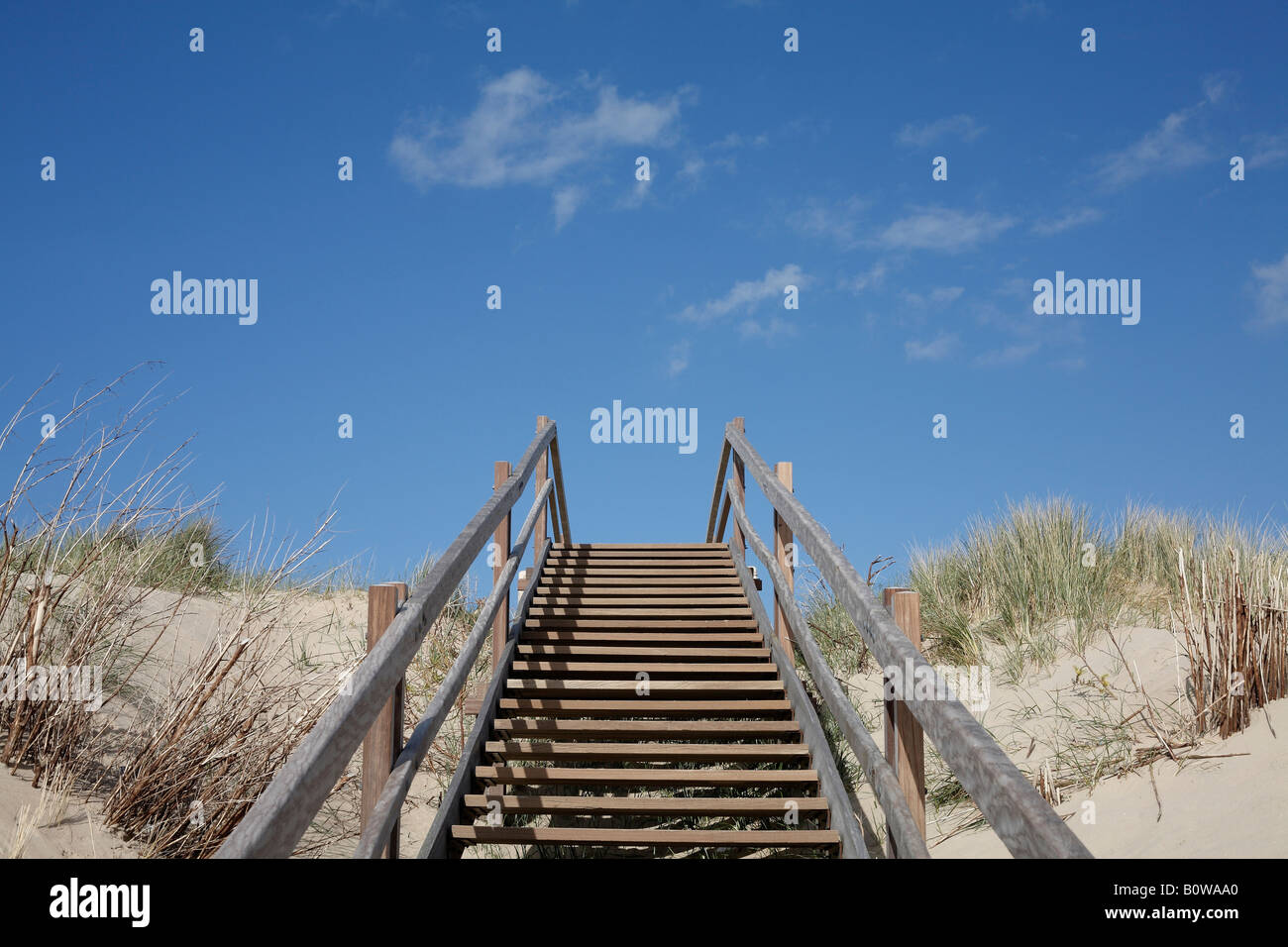Les marches de bois sur des dunes, North Voir plage, Walcheren, Zélande, Pays-Bas, Europe Banque D'Images