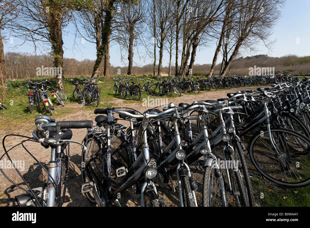 Parking vélo complet dans un paysage de printemps près de Domburg, Walcheren, Zélande, Pays-Bas, Europe Banque D'Images
