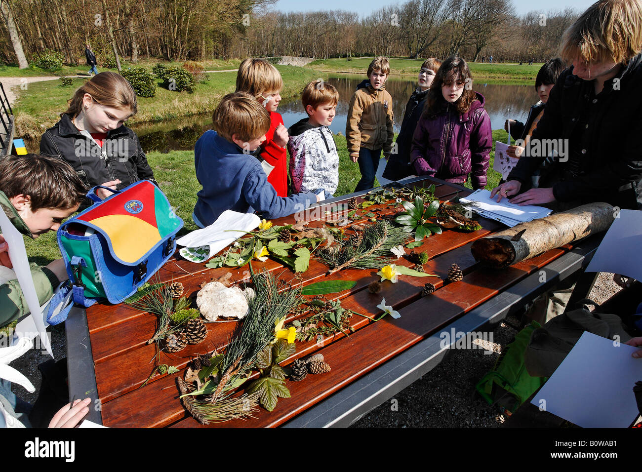 Enfants étudiant à l'histoire naturelle au cours d'une visite sur le terrain de classe, table couverte de feuilles, de brindilles et de fruits recueillis à partir des arbres, Wal Banque D'Images