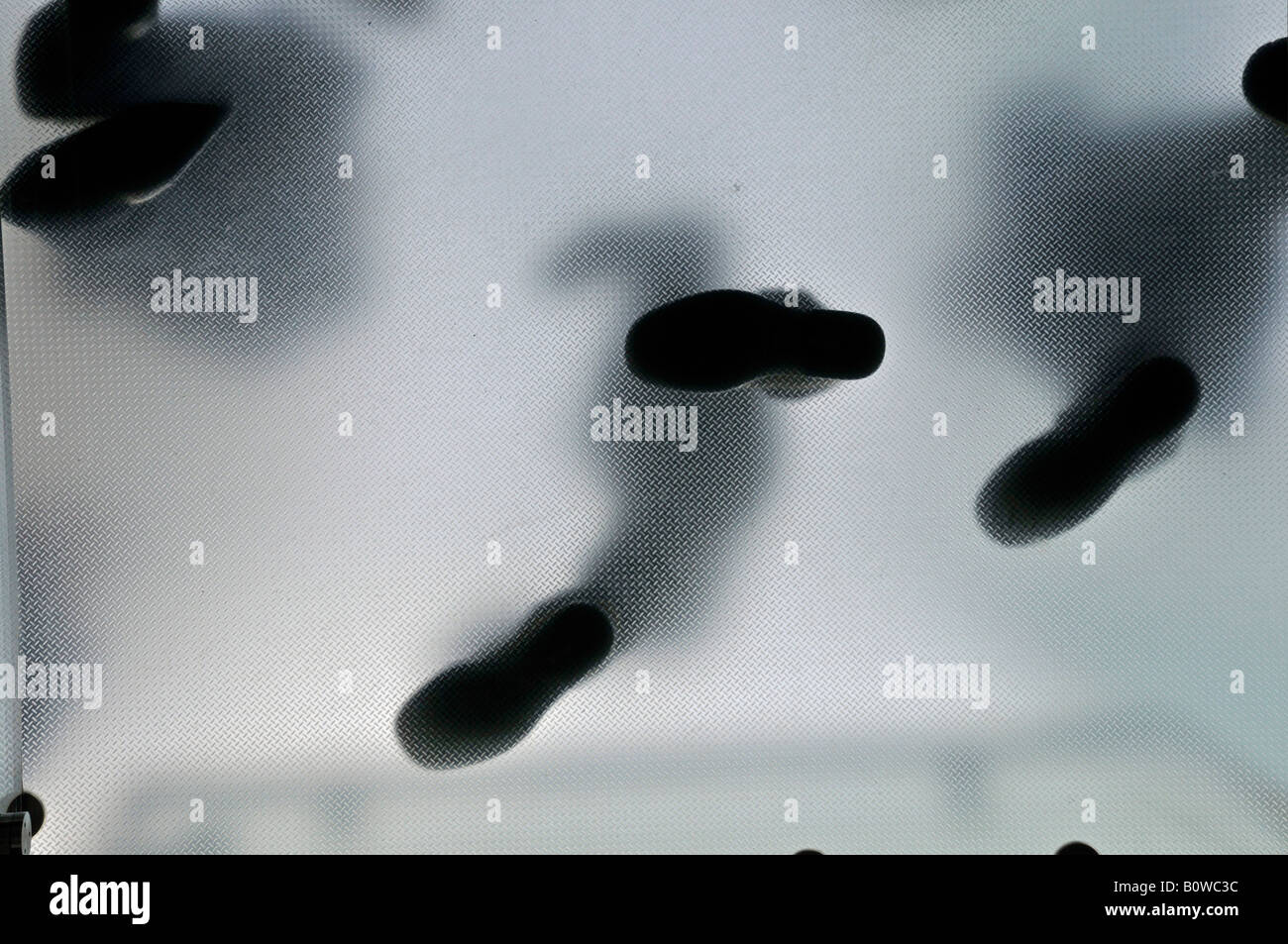 Pieds et Jambes vu à travers le plancher de verre laiteux transparent du cube de verre entrée de l'Apple Store de la Cinquième Avenue, Banque D'Images
