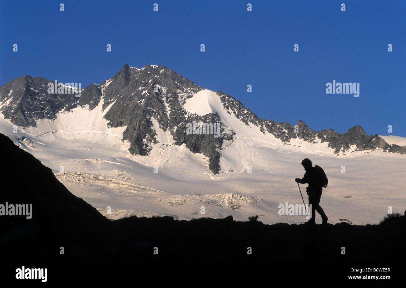 Silhouette d'un randonneur en face d'un glacier dans la soirée, Alpes de Zillertal, Tyrol, Autriche, Europe Banque D'Images