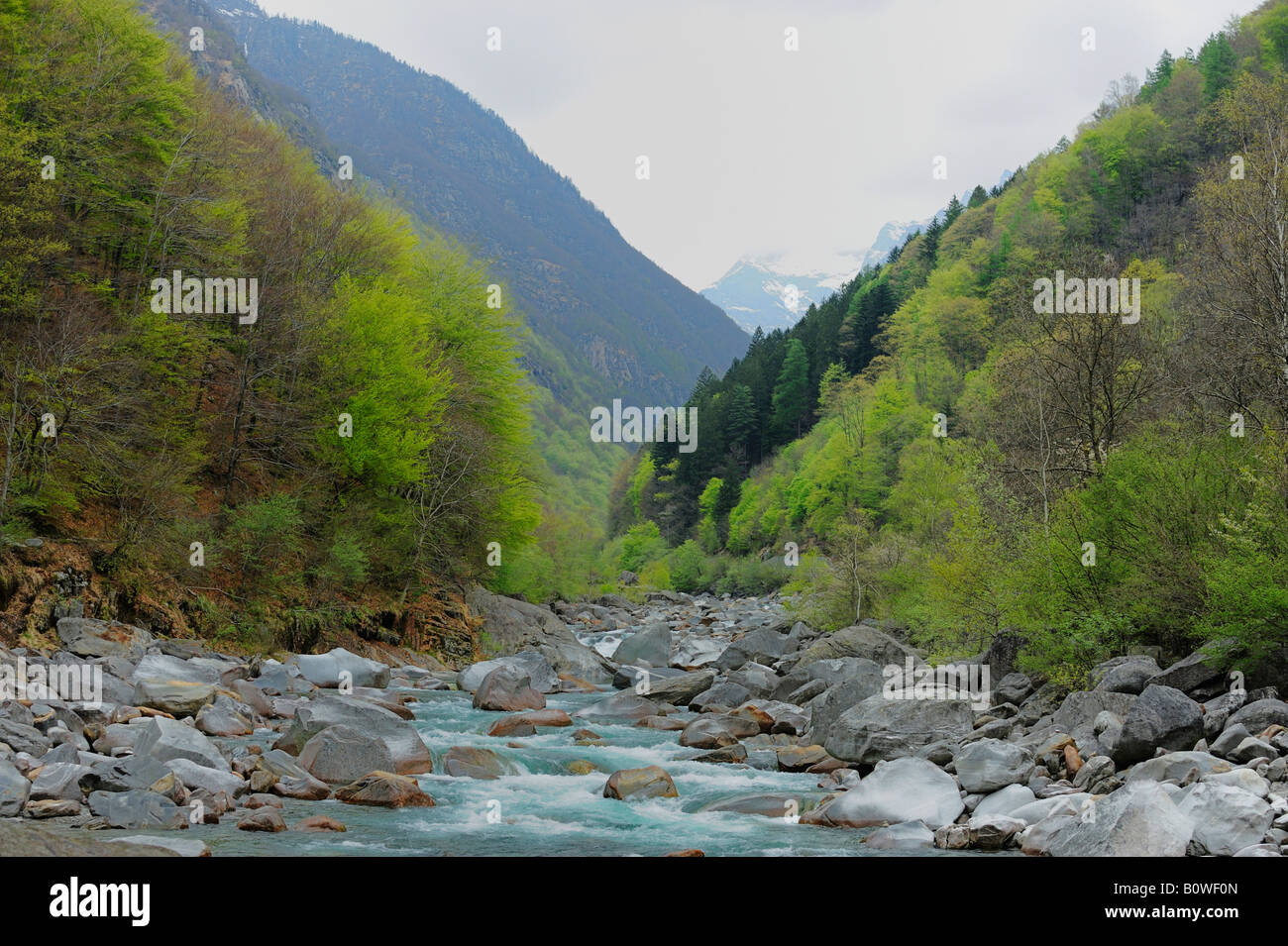Verzasca River près de Lavertezzo dans le Canton du Tessin, Suisse, Europe Banque D'Images